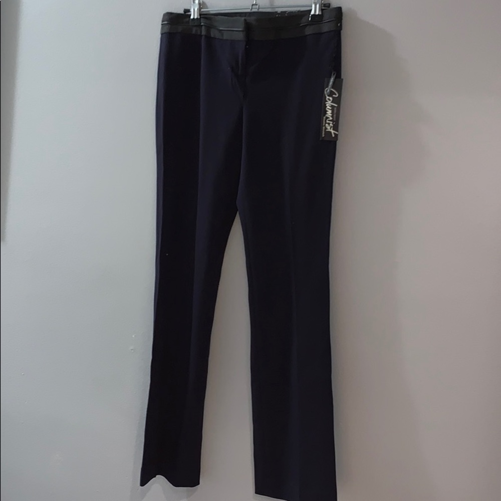 Express Slacks/Pants